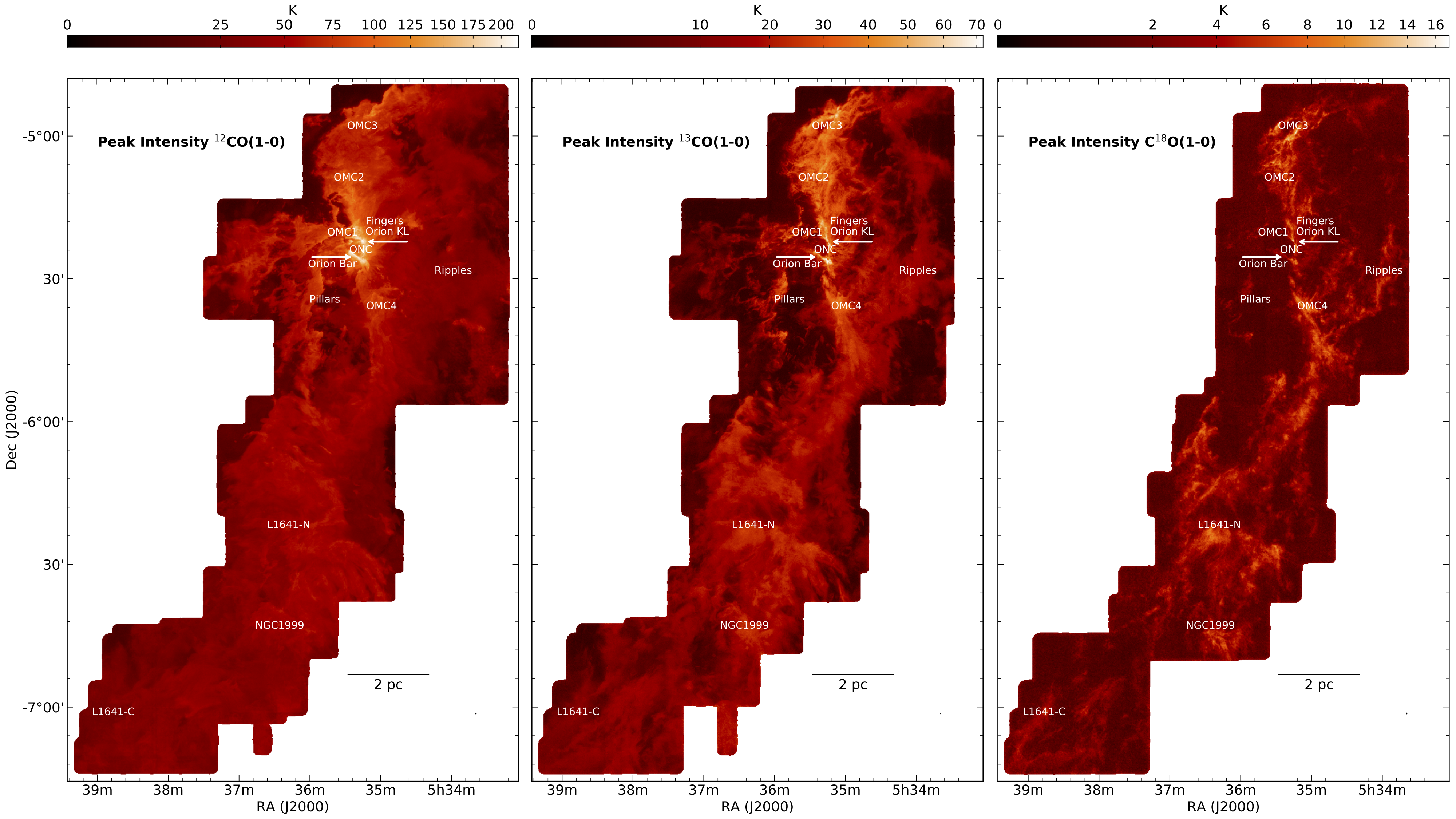 CARMA-NRO Orion Survey Results